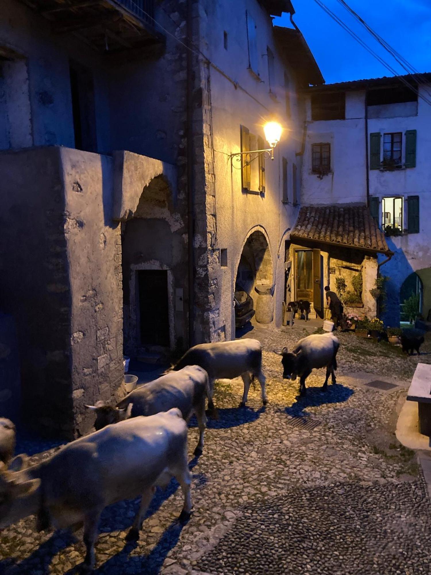 Bed and Breakfast A Casa Di Gianni E Mari Vestone Zewnętrze zdjęcie