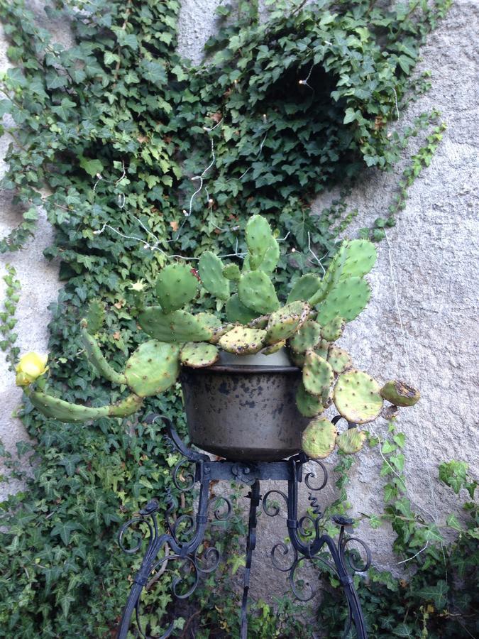 Bed and Breakfast A Casa Di Gianni E Mari Vestone Zewnętrze zdjęcie